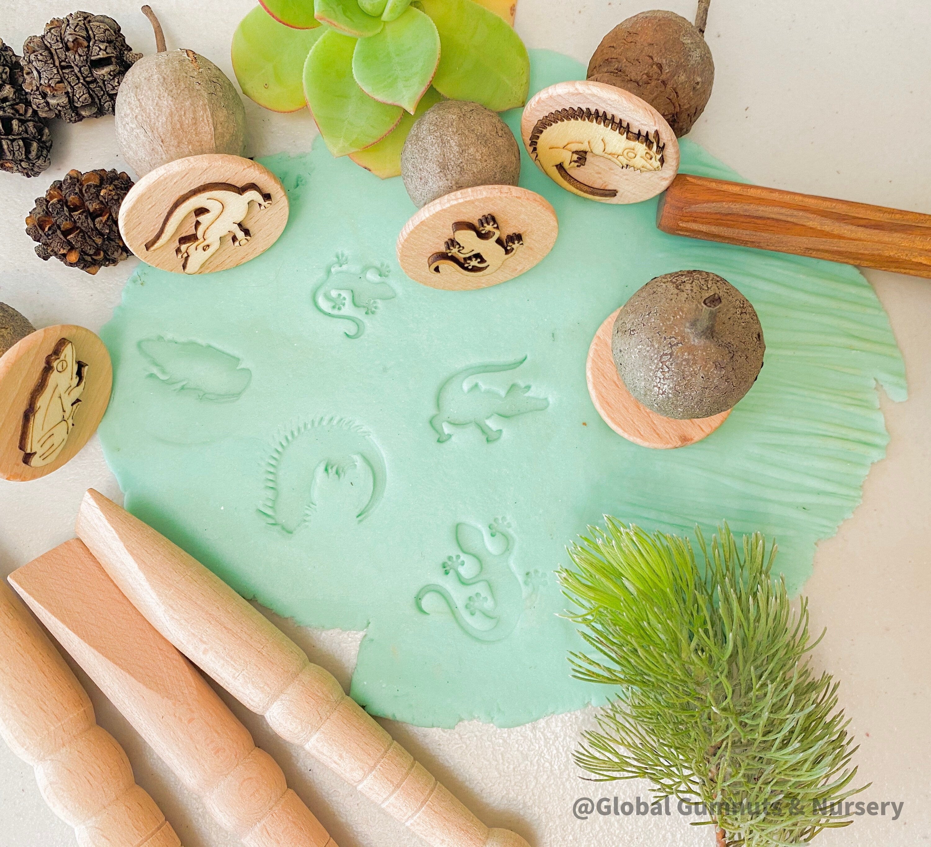 Reptile and Amphibian Gumnut Stamps: Set of 5 gumnut stamps featuring reptiles and amphibians, perfect for sensory play or nature-themed crafts.