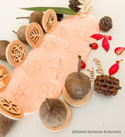 Floral Bliss Stamps: Gumnut stamp set with seven floral-themed stamps.