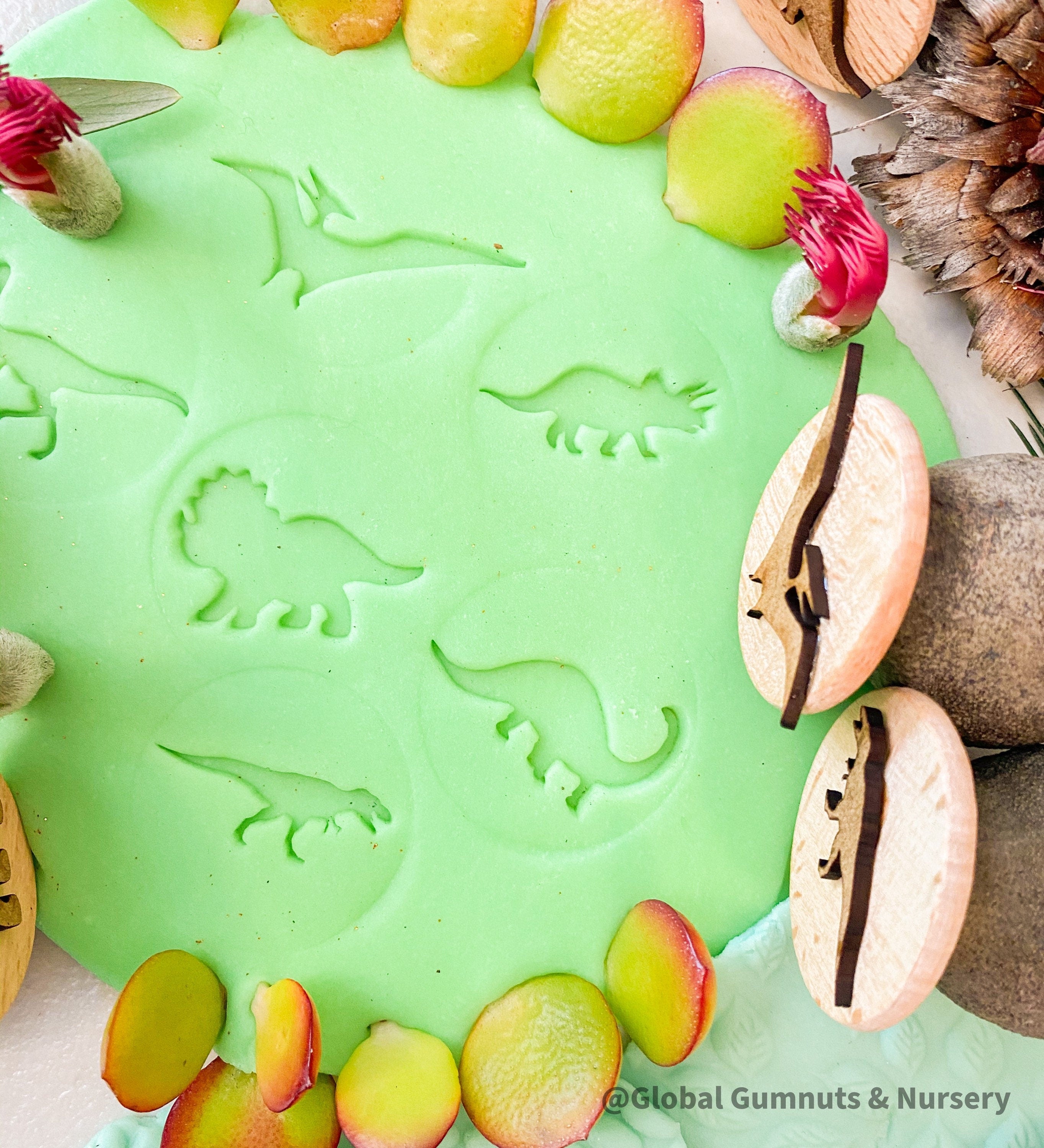 Roaming Dinosaurs Stamp Set: Six-piece dinosaur-themed gumnut stamp collection.