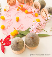 Seasonal Garden Stamps: 7-piece set of nature-inspired stamps.
