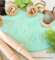 Reptile and Amphibian Gumnut Stamps: Set of 5 gumnut stamps featuring reptiles and amphibians, perfect for sensory play or nature-themed crafts.