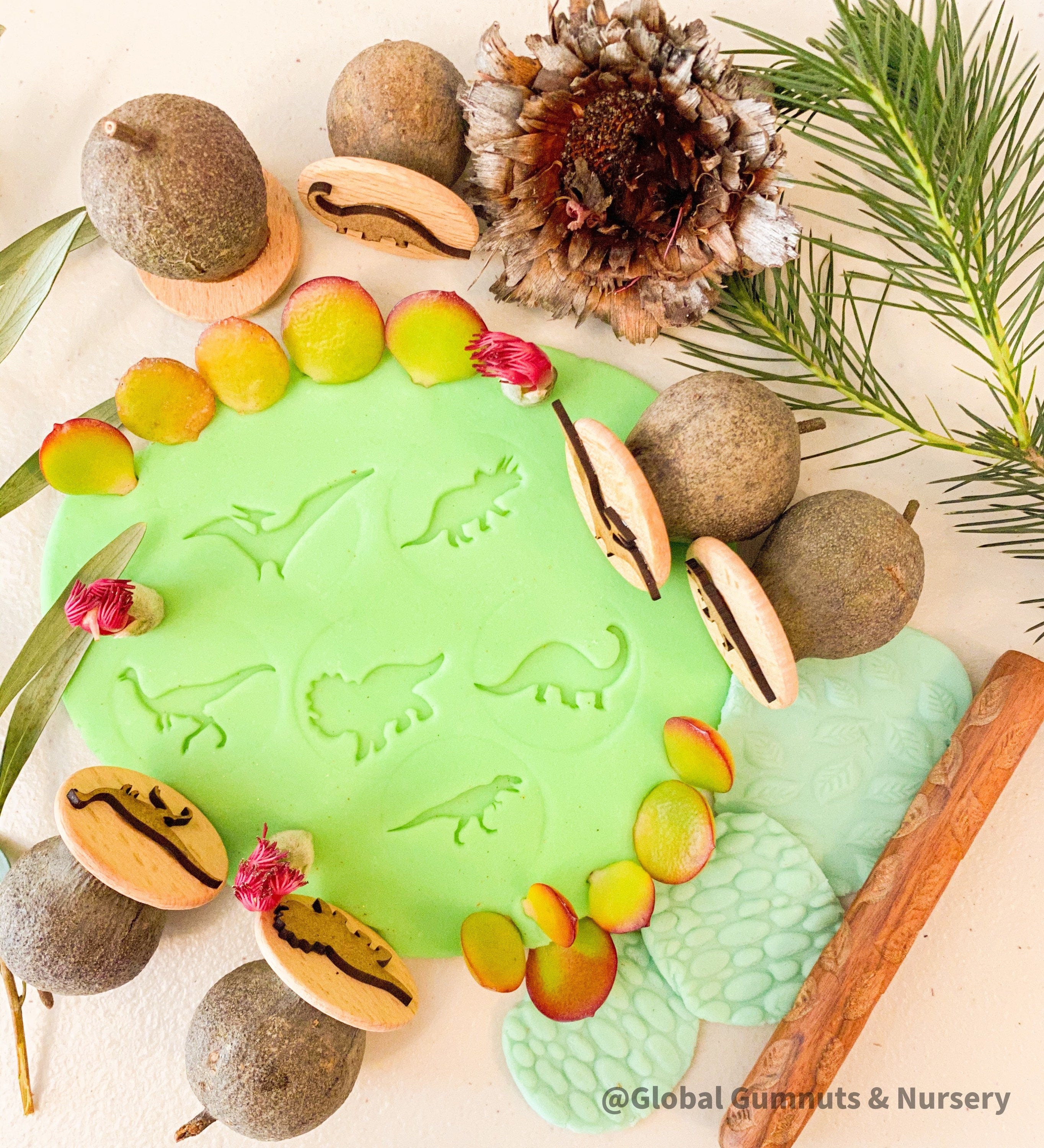 Roaming Dinosaurs Stamp Set: Six-piece dinosaur-themed gumnut stamp collection.