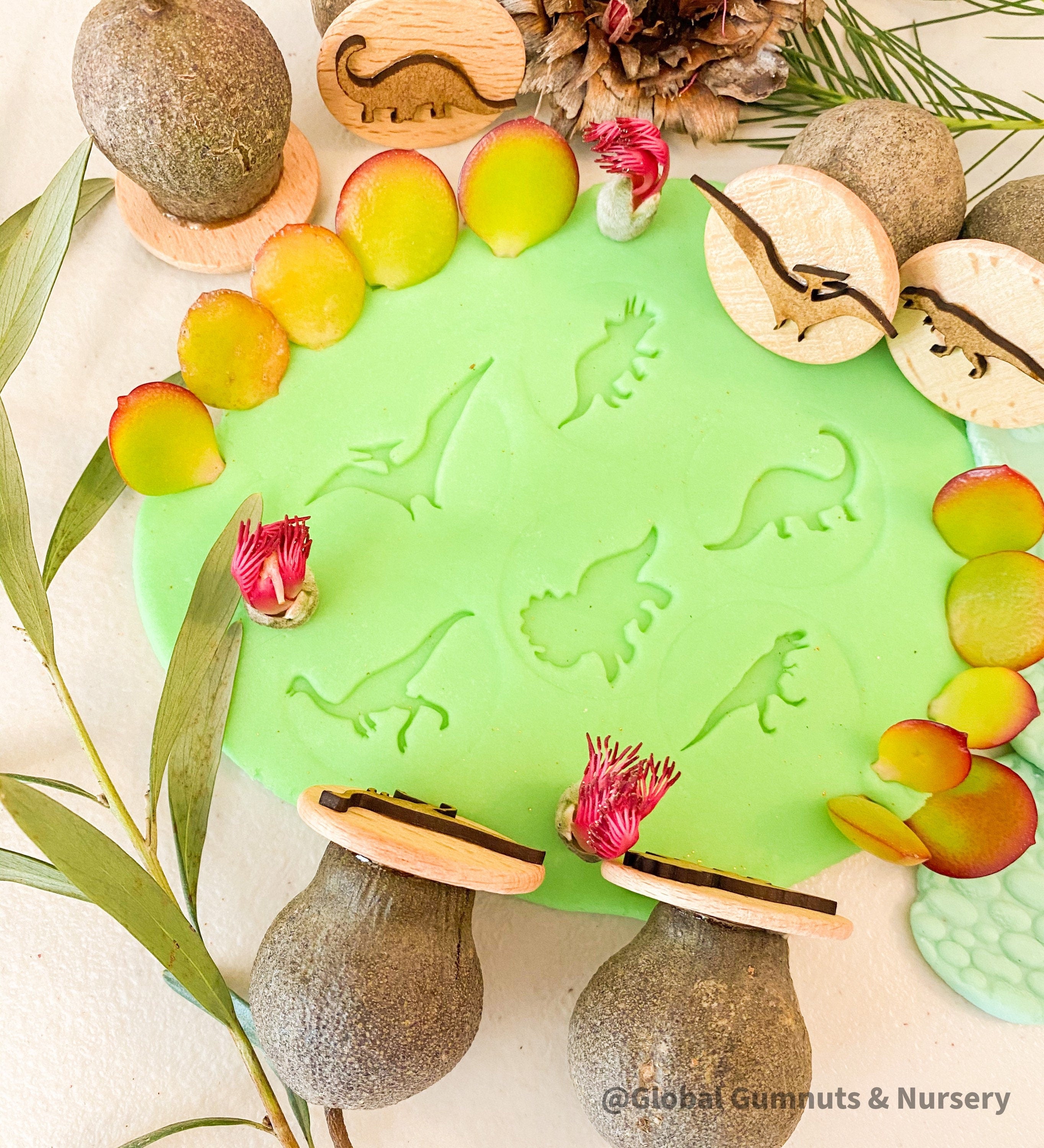 Roaming Dinosaurs Stamp Set: Six-piece dinosaur-themed gumnut stamp collection.
