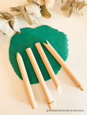 Wood Pattern Makers Set: Set of wooden tools for creating patterns and textures in clay or playdough, perfect for creative play.