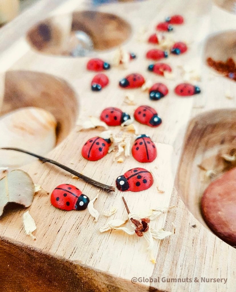 Wooden ladybirds (ladybugs), crafted without stickers for natural play.