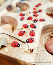 Wooden ladybirds (ladybugs), crafted without stickers for natural play.