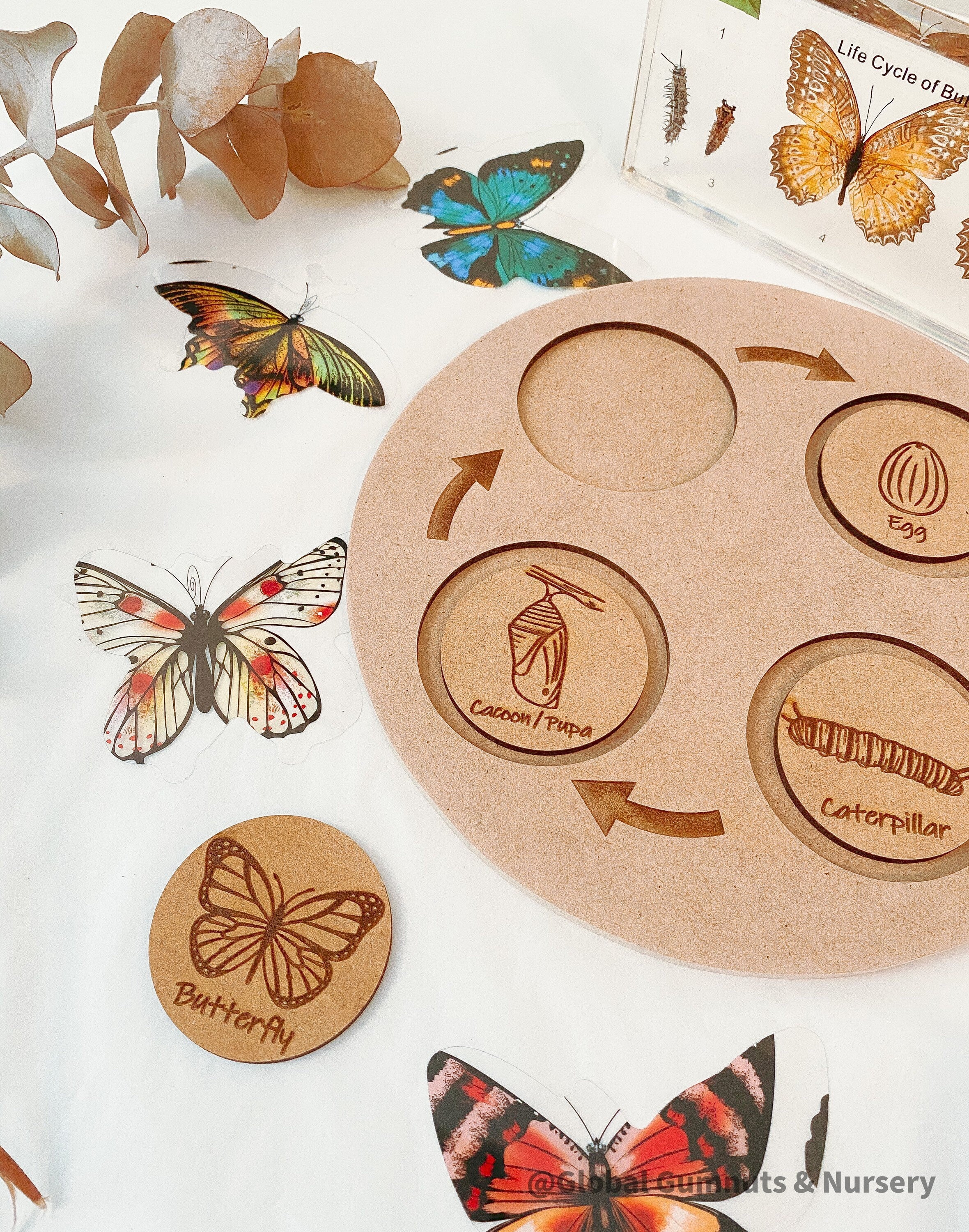 Butterfly Life Cycle Round Puzzle: Montessori-inspired puzzle illustrating the butterfly’s life stages.
