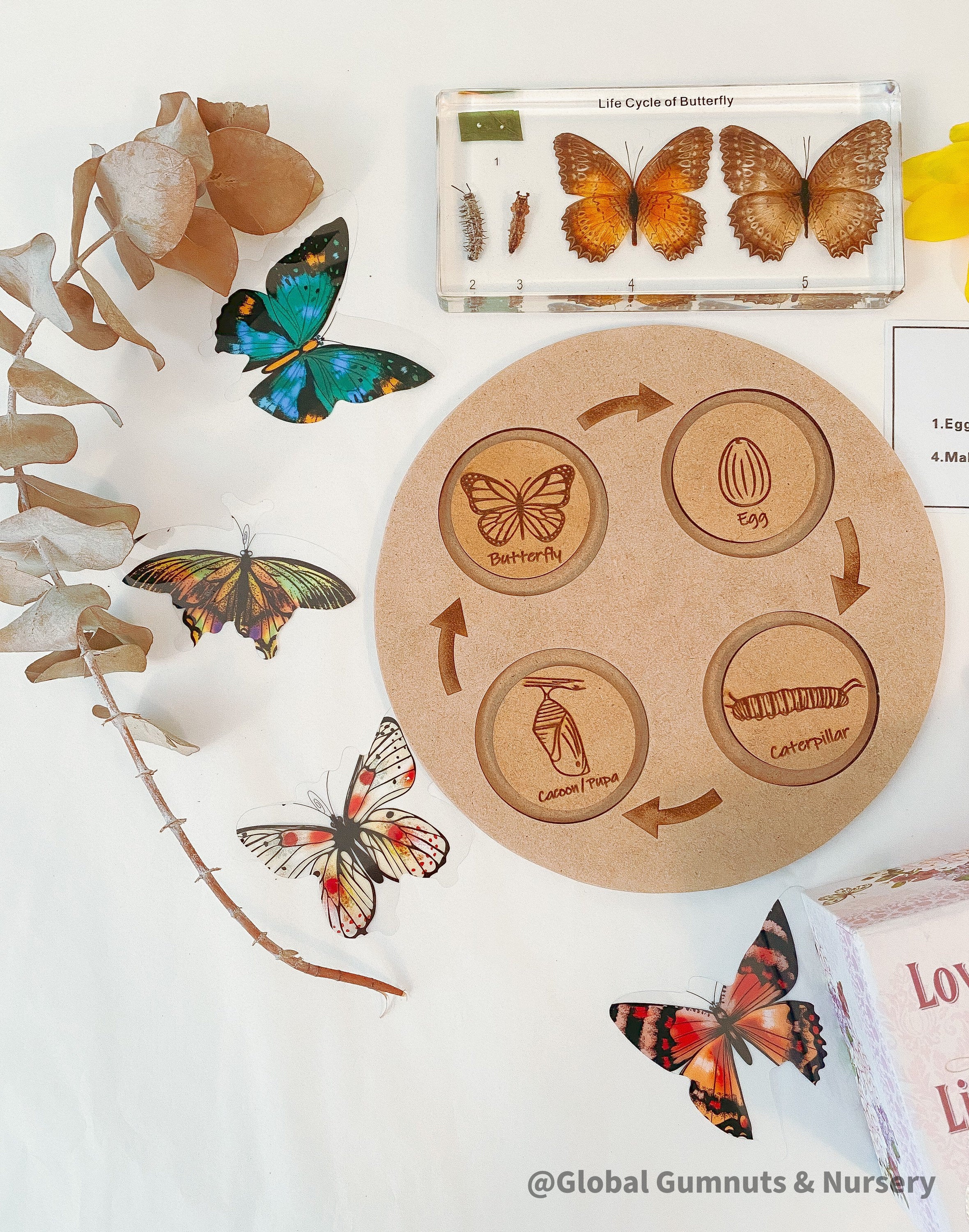 Butterfly Life Cycle Round Puzzle: Montessori-inspired puzzle illustrating the butterfly’s life stages.