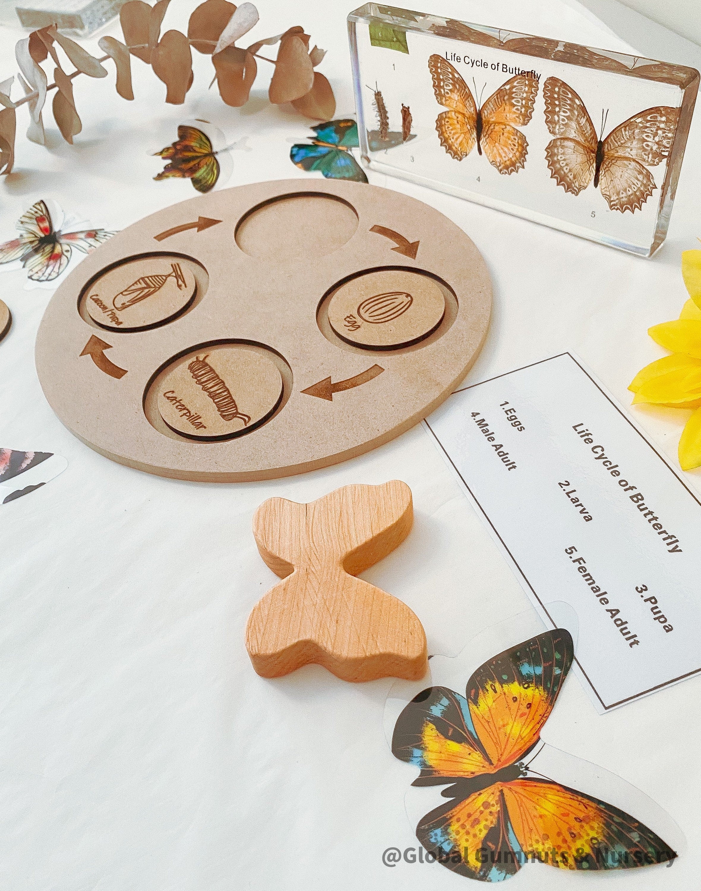 Butterfly Life Cycle Round Puzzle: Montessori-inspired puzzle illustrating the butterfly’s life stages.