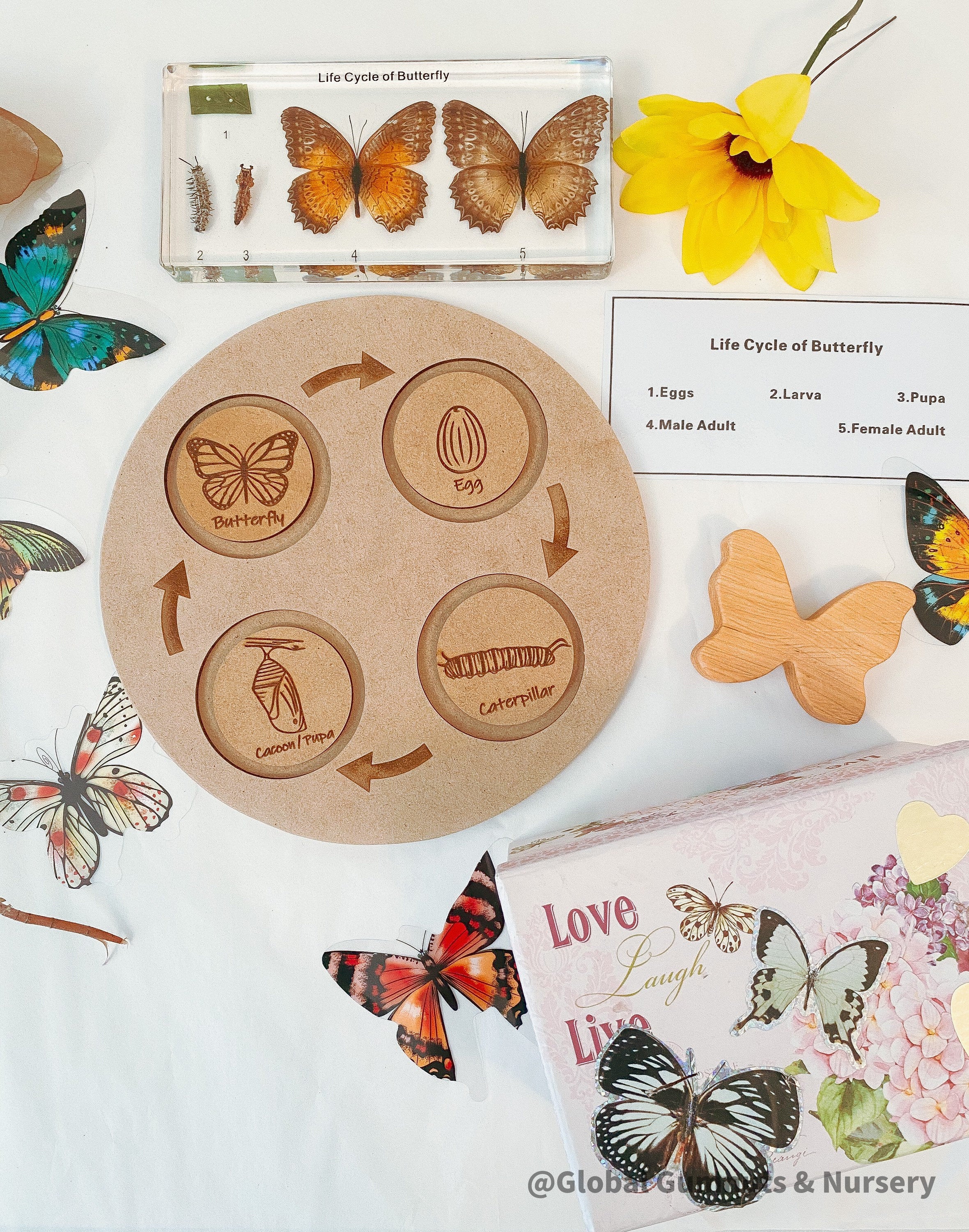 Butterfly Life Cycle Round Puzzle: Montessori-inspired puzzle illustrating the butterfly’s life stages.