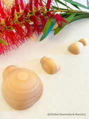 Plain handmade wooden beetles, perfect for creative play, bug-themed crafts, or natural exploration.
