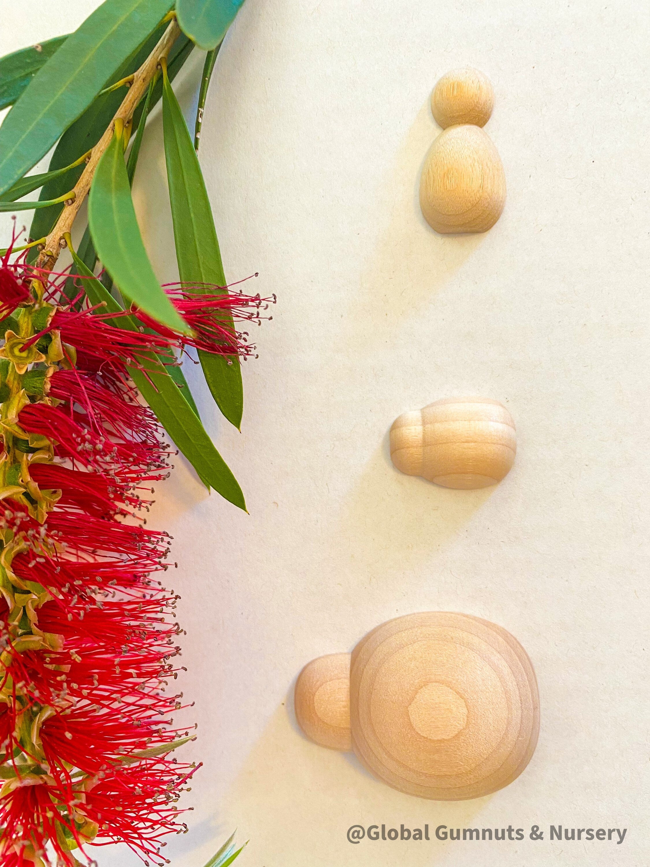 Plain handmade wooden beetles, perfect for creative play, bug-themed crafts, or natural exploration.
