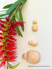 Plain handmade wooden beetles, perfect for creative play, bug-themed crafts, or natural exploration.

