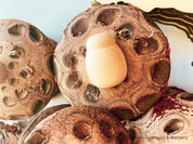 Plain handmade wooden beetles, perfect for creative play, bug-themed crafts, or natural exploration.
