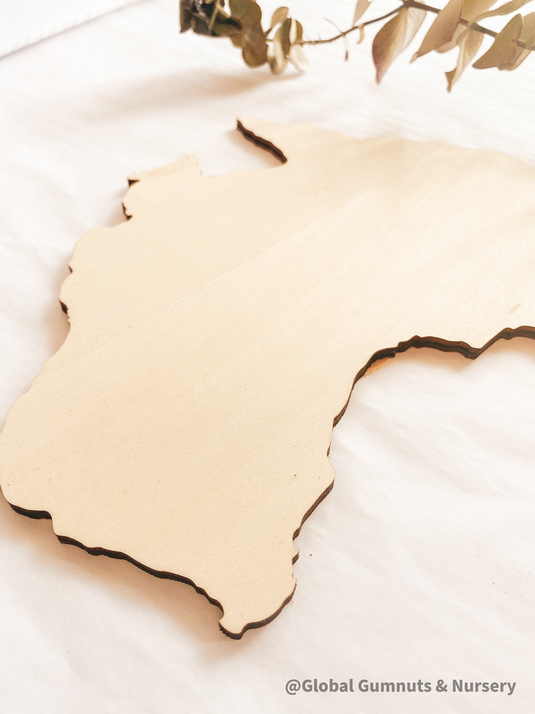 Australia Wooden Plaque: Rustic wooden plaque with an Australian theme.