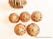 Banksia Mushrooms: Handmade decor inspired by banksia trees or mushrooms.