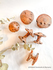 Banksia Mushrooms: Handmade decor inspired by banksia trees or mushrooms.
