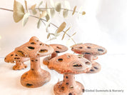 Banksia Mushrooms: Handmade decor inspired by banksia trees or mushrooms.