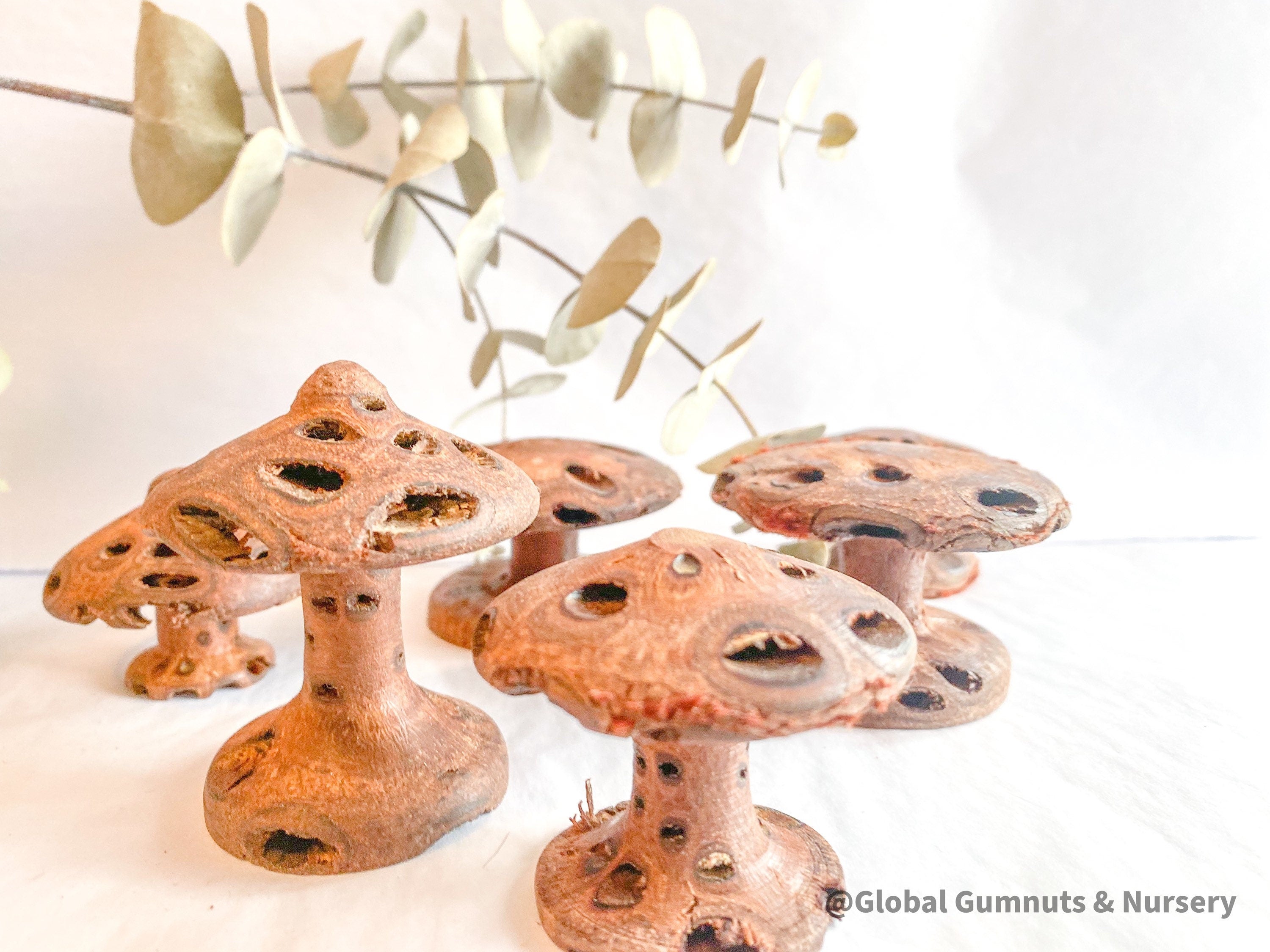 Banksia Mushrooms: Handmade decor inspired by banksia trees or mushrooms.