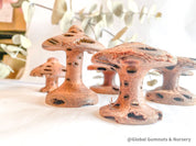 Banksia Mushrooms: Handmade decor inspired by banksia trees or mushrooms.
