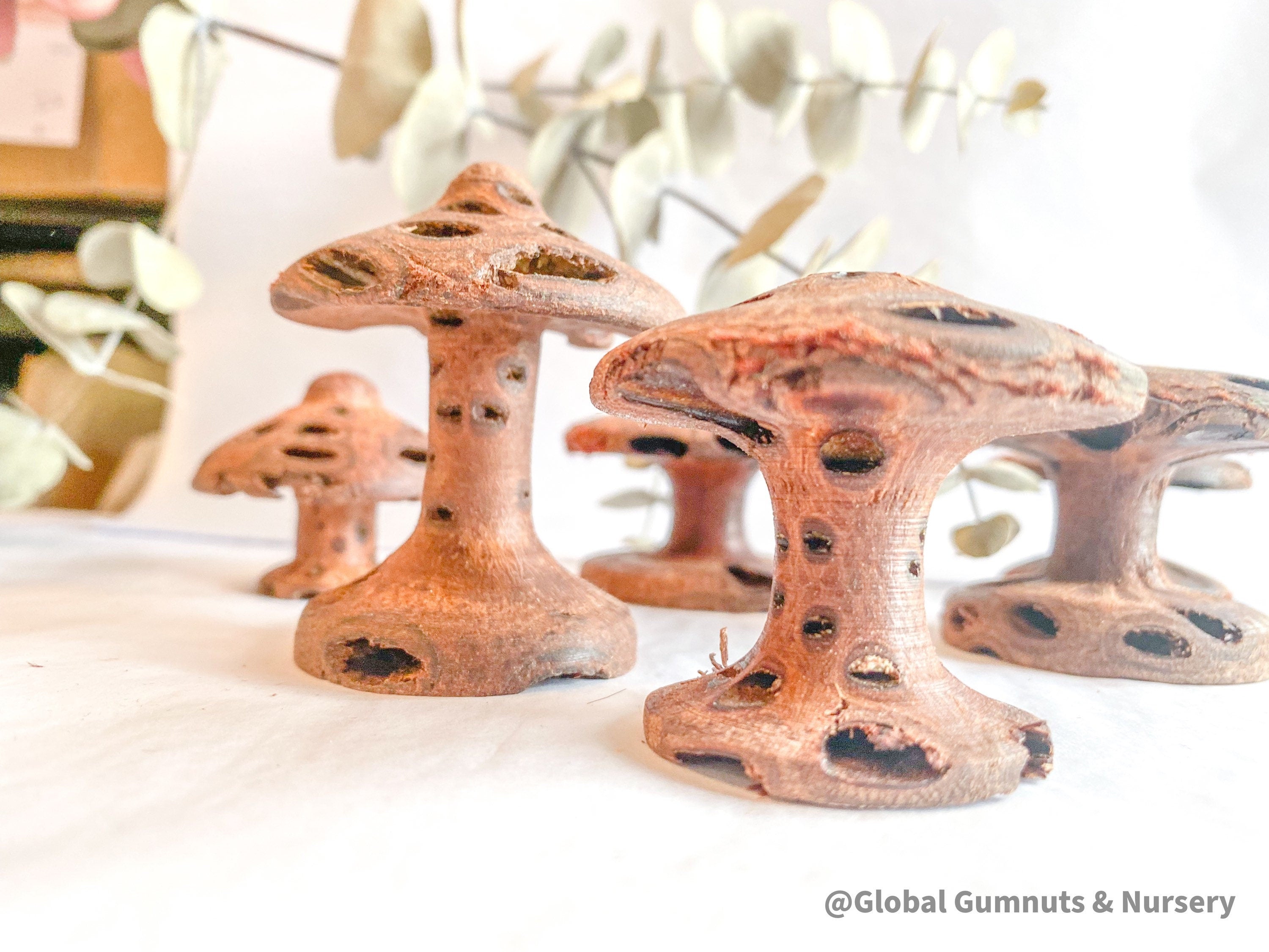 Banksia Mushrooms: Handmade decor inspired by banksia trees or mushrooms.