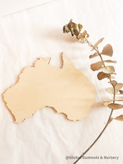 Australia Wooden Plaque: Rustic wooden plaque with an Australian theme.