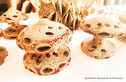 Banksia Mushrooms: Handmade decor inspired by banksia trees or mushrooms.