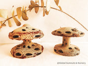 Banksia Mushrooms: Handmade decor inspired by banksia trees or mushrooms.
