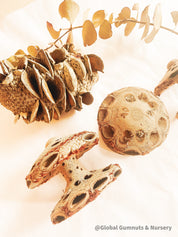 Banksia Mushrooms: Handmade decor inspired by banksia trees or mushrooms.