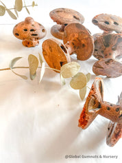 Banksia Mushrooms: Handmade decor inspired by banksia trees or mushrooms.