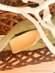 Flat rectangle scooper made of natural wood, perfect for sensory play and Montessori activities.
