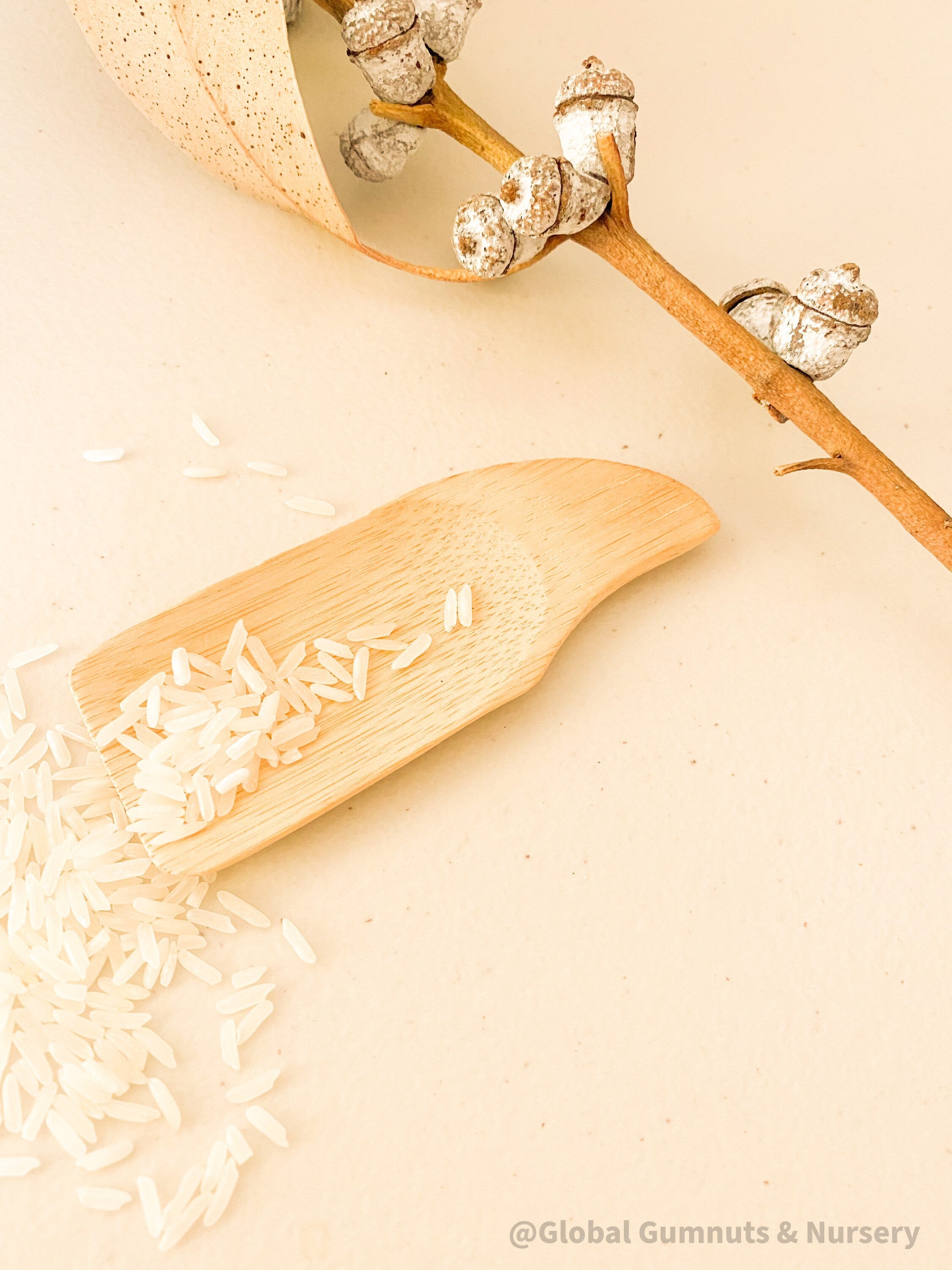 Flat rectangle scooper made of natural wood, perfect for sensory play and Montessori activities.
