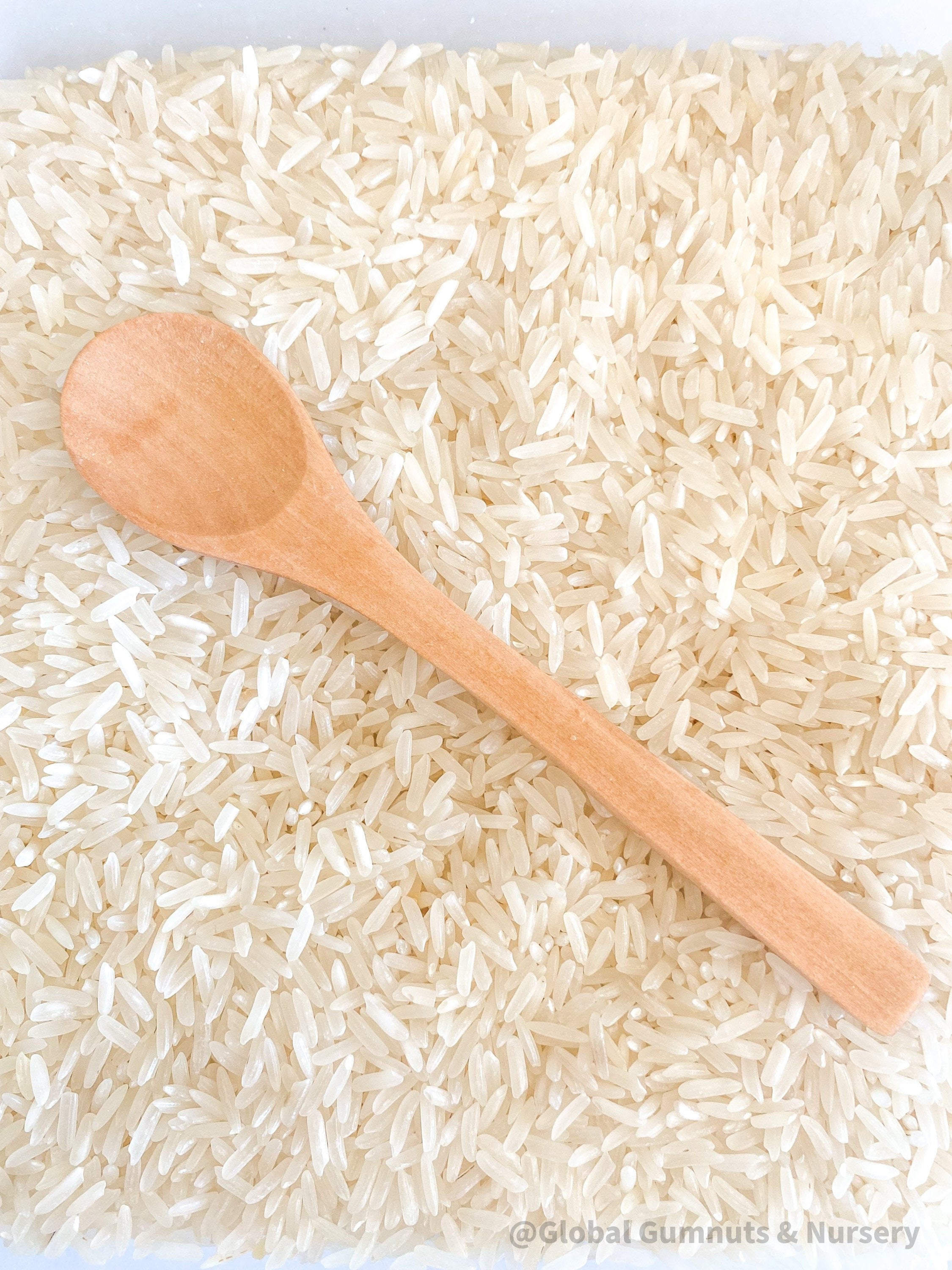 Long Teaspoon Scoop