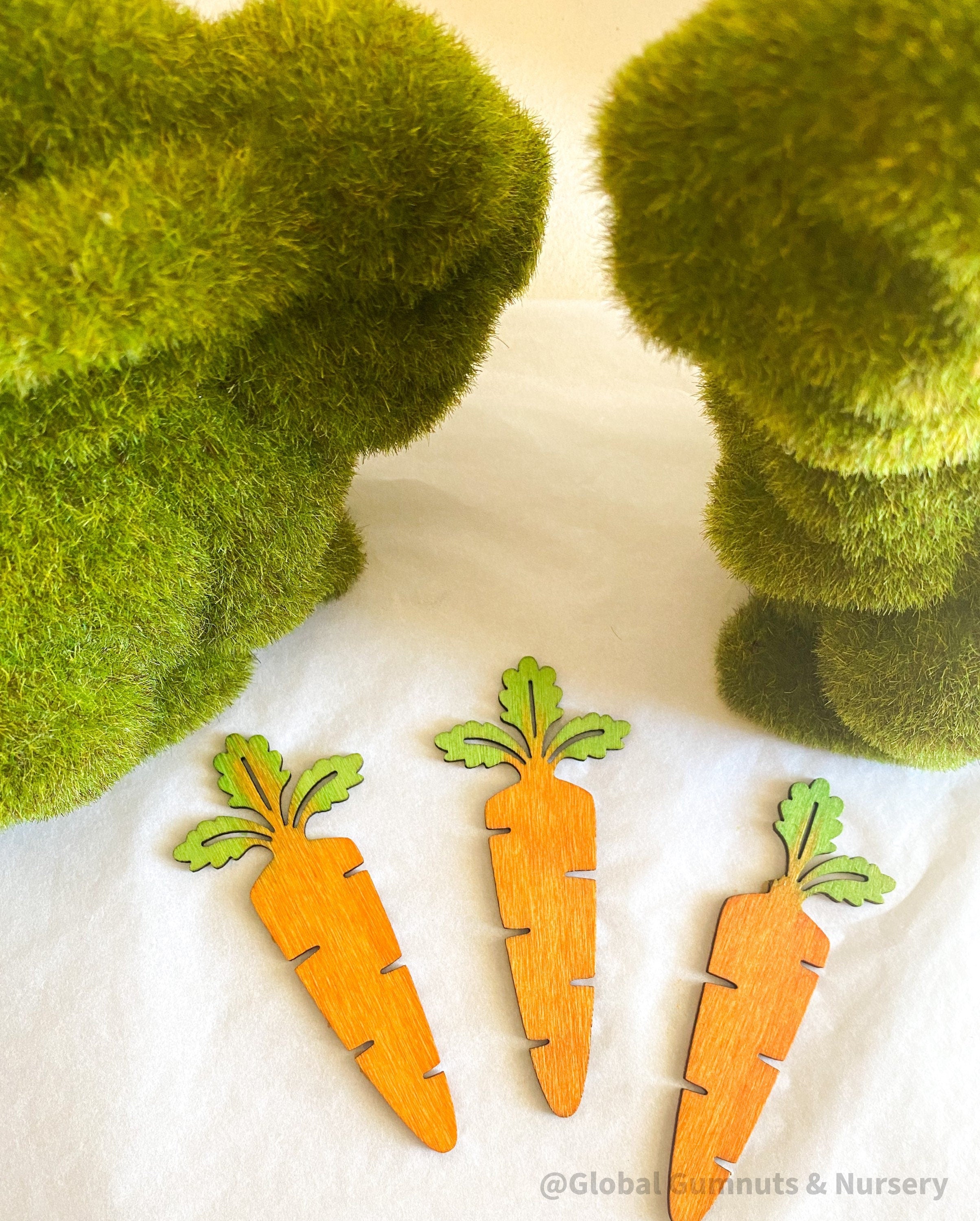 Wooden Carrots: Eco-friendly, water-coloured wooden carrots.