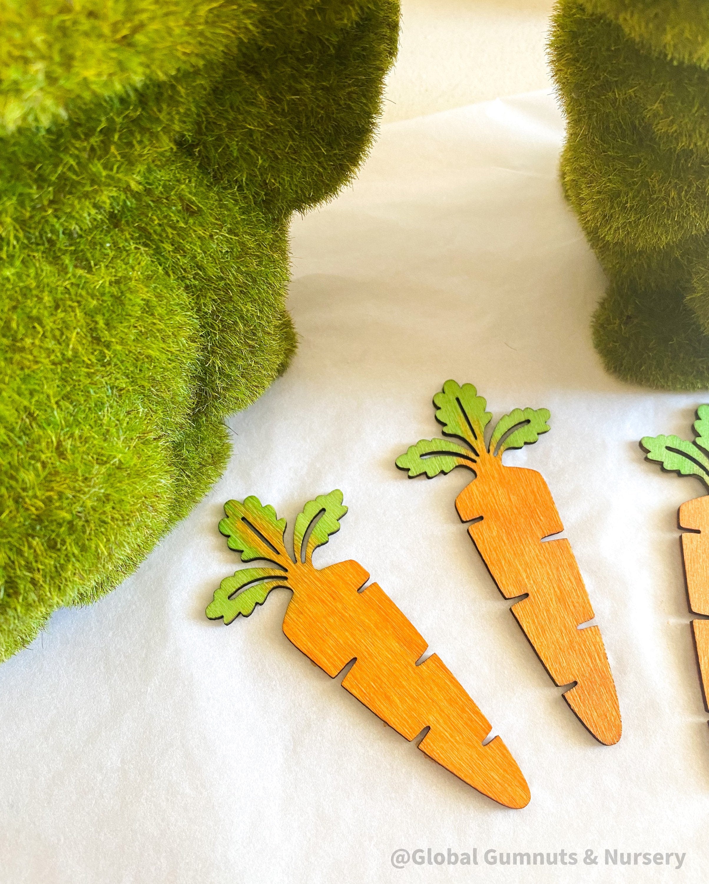 Wooden Carrots: Eco-friendly, water-coloured wooden carrots.
