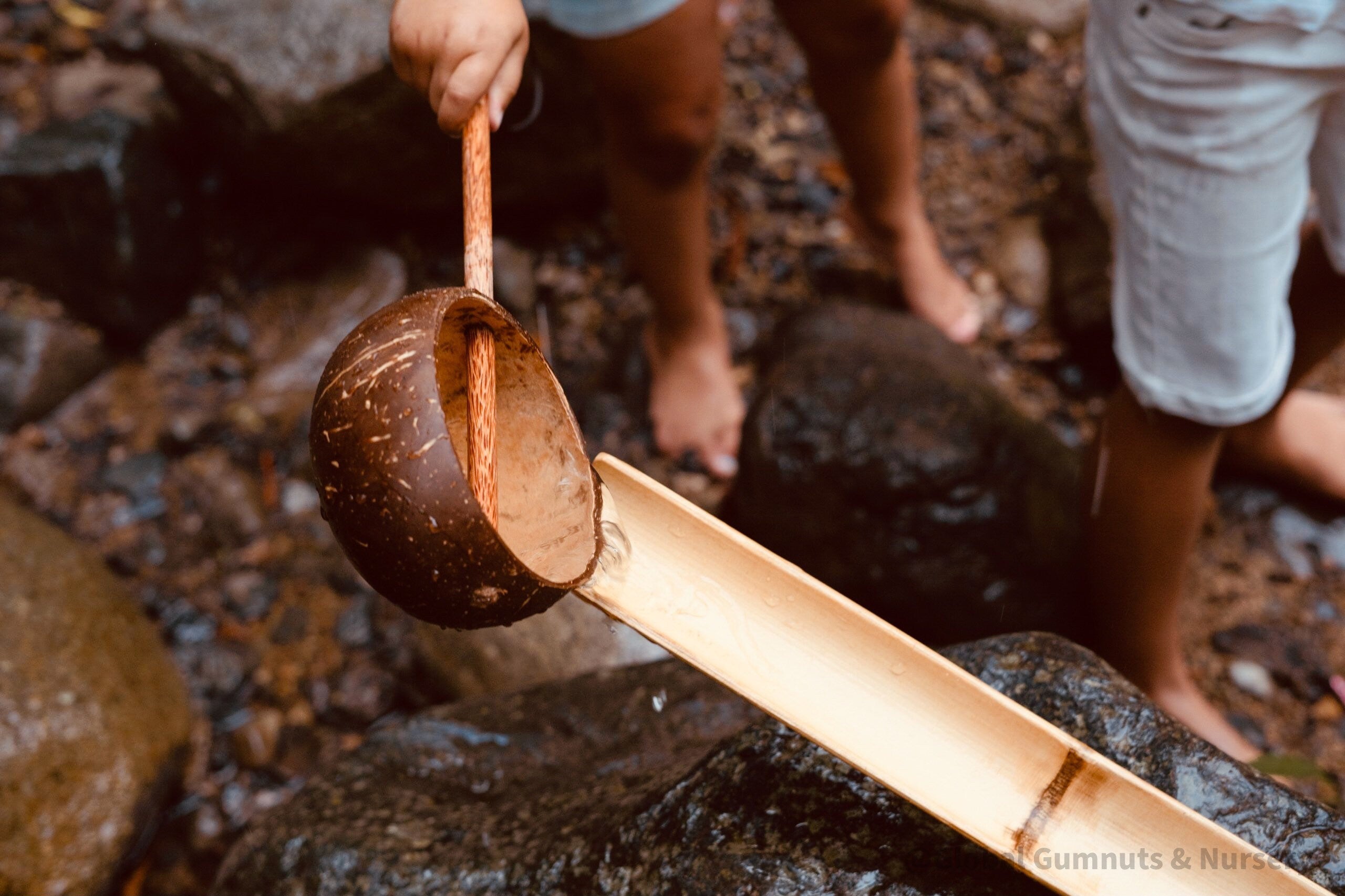 Short handle water cup scoop, a coconut bowl measuring tool for kids.