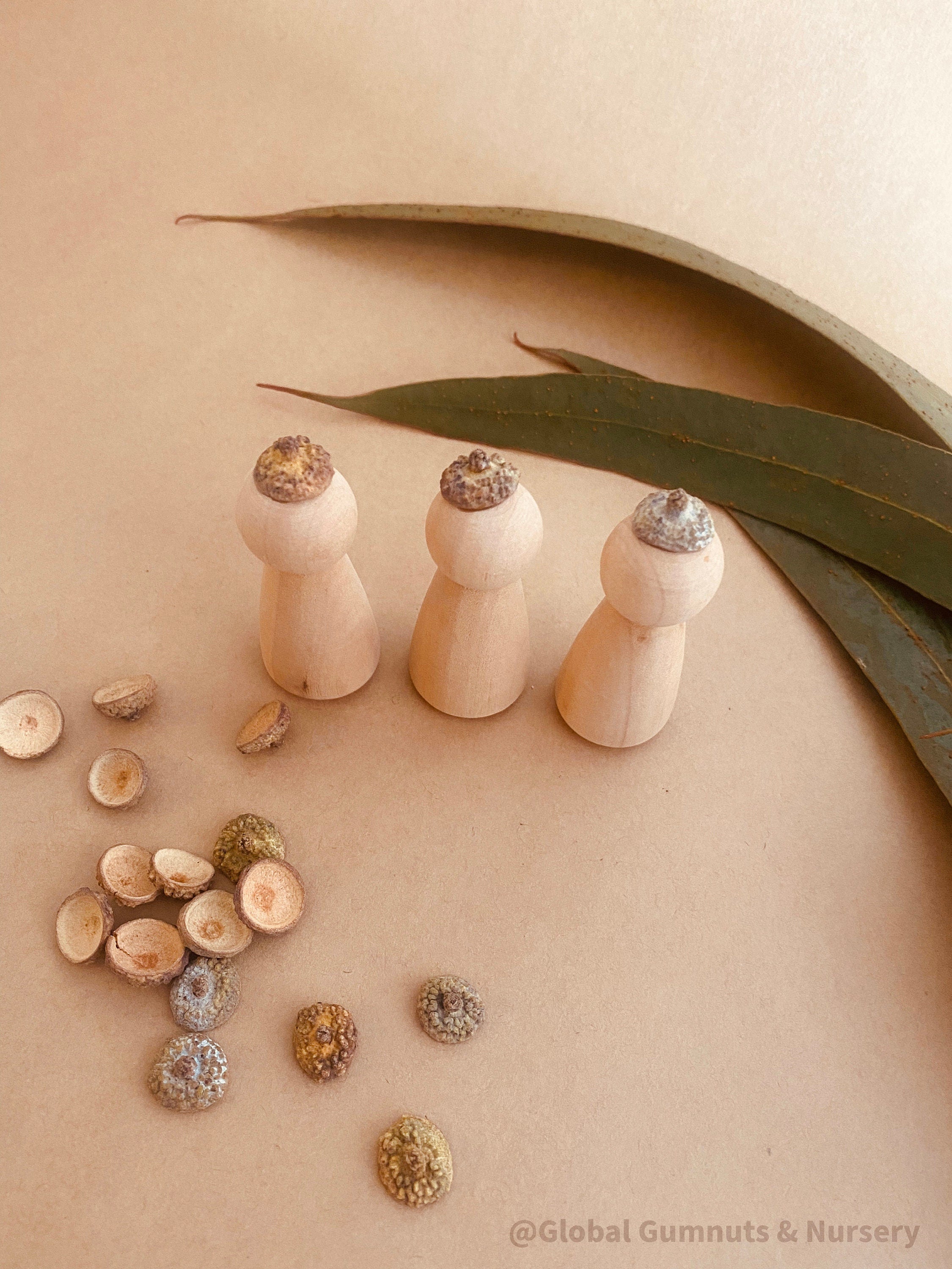Gum leaves & Eucalyptus Botanicals: Dried botanicals for sensory play and crafting.