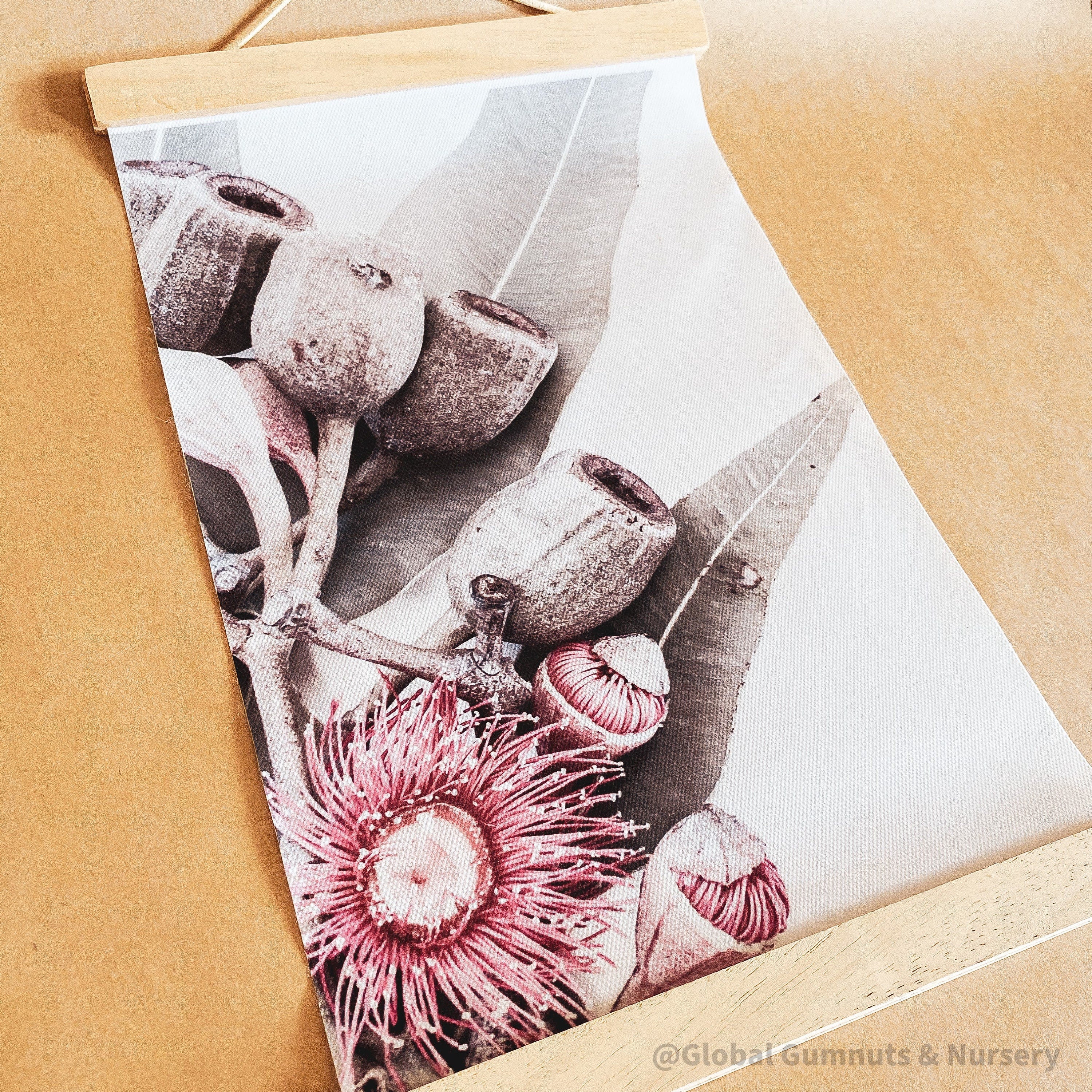 Pink flowering gum & gumnut canvas art, a charming decor piece.
