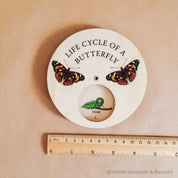 butterfly life cycle wheel: montessori-style wooden spinner dial depicting the butterfly life cycle, perfect for educational play.