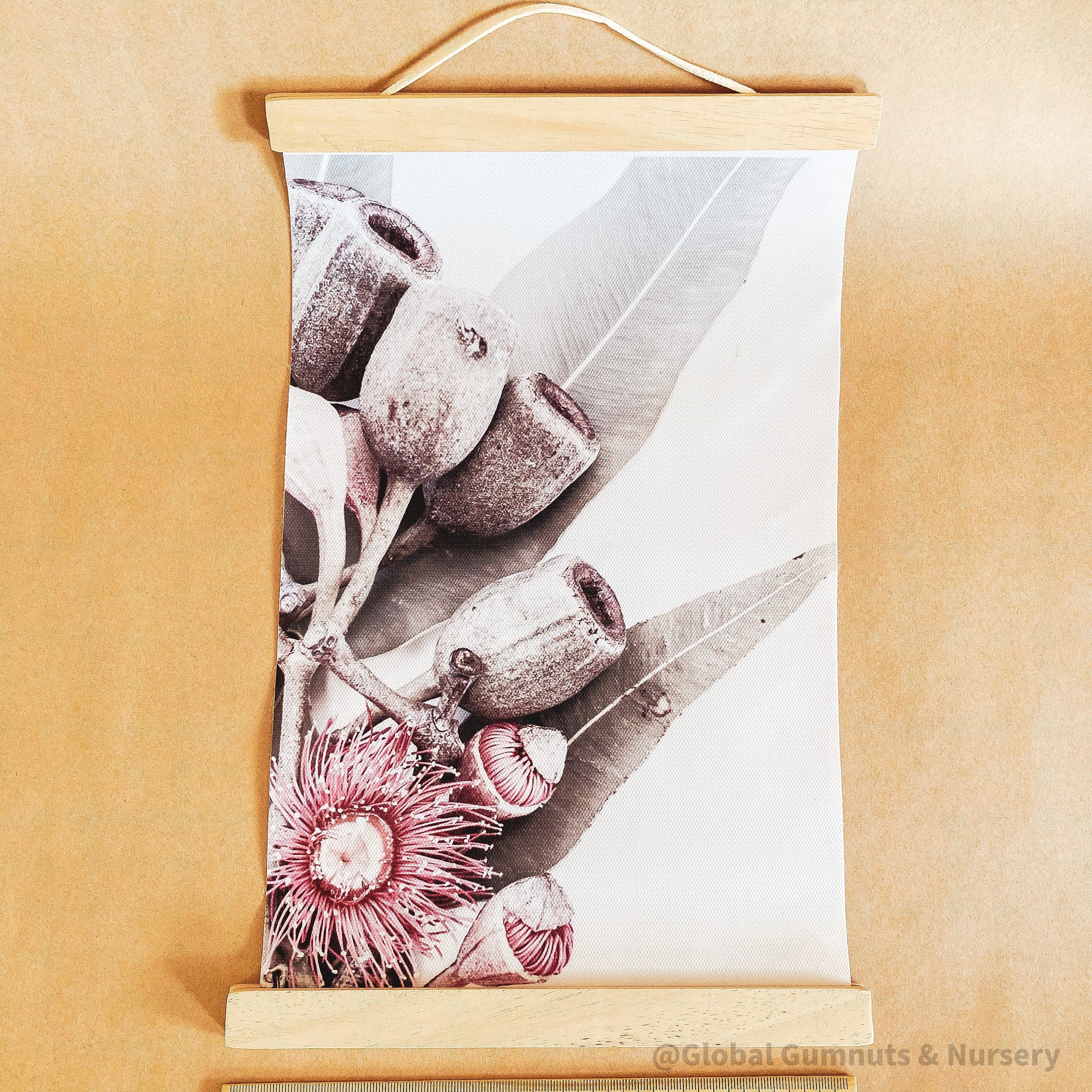 Pink flowering gum & gumnut canvas art, a charming decor piece.
