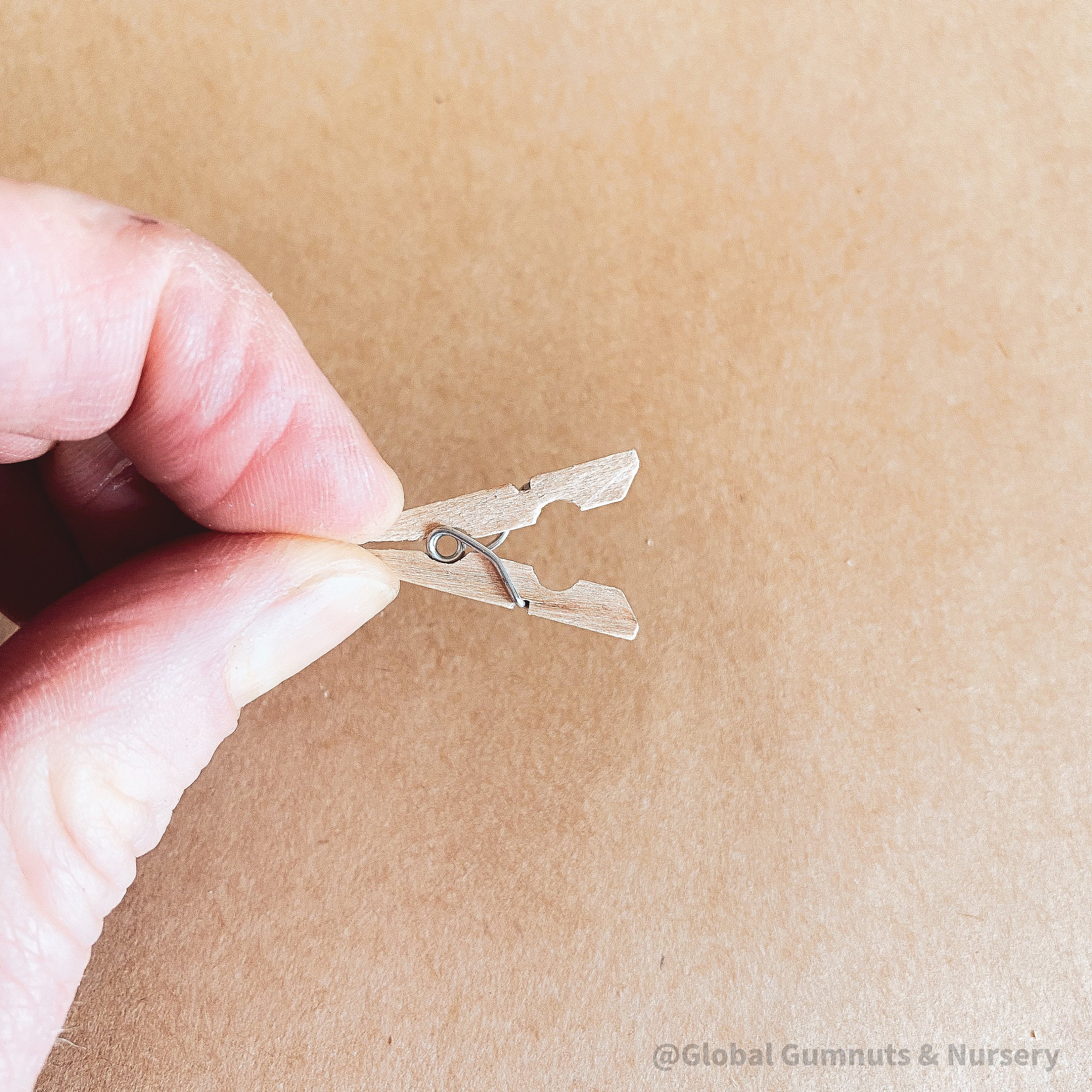 Mini wooden pegs, versatile clips ideal for advent calendars or craft projects.
