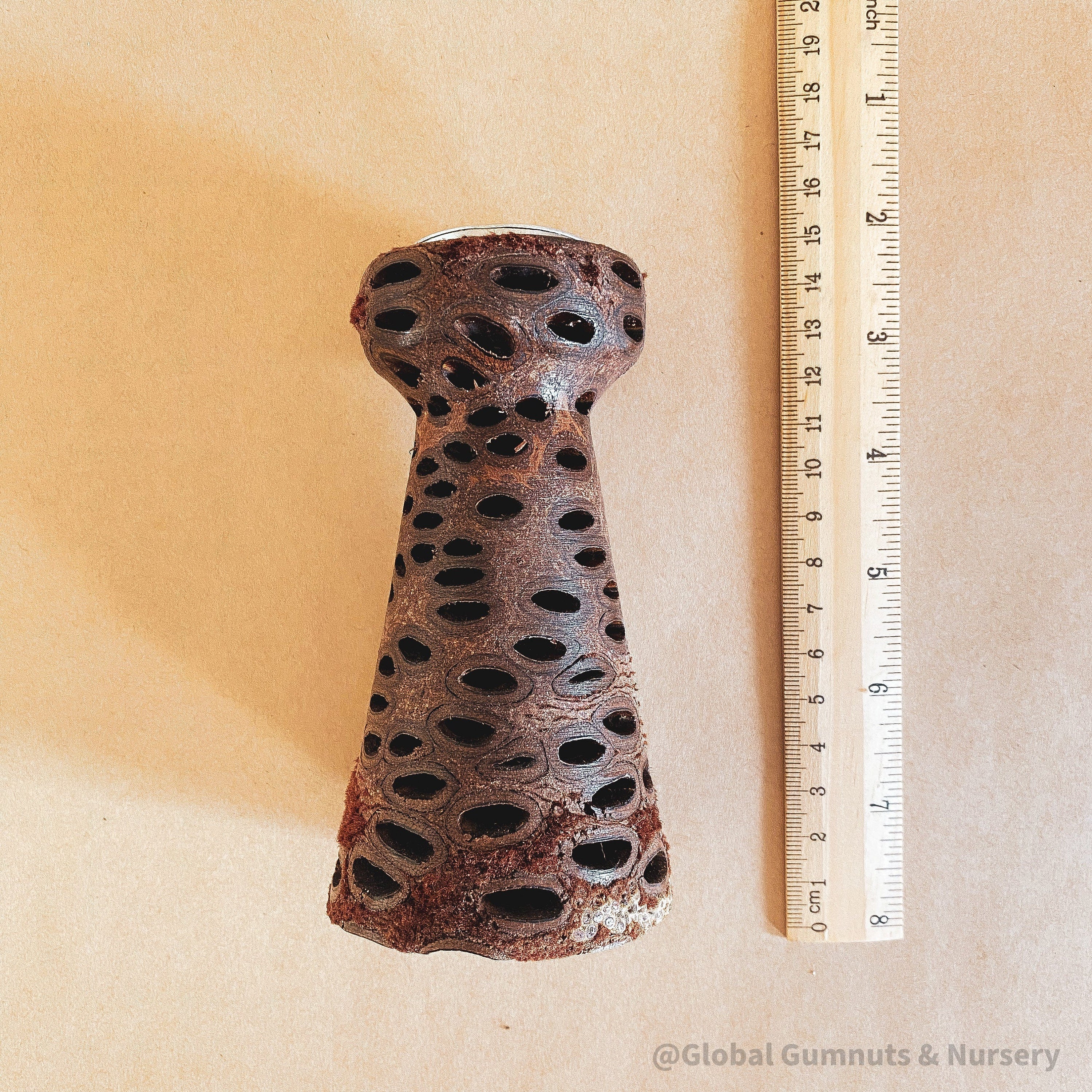 Tall Vase Banksia Tea Light Candle: Elegant banksia vase with tealight holder.
