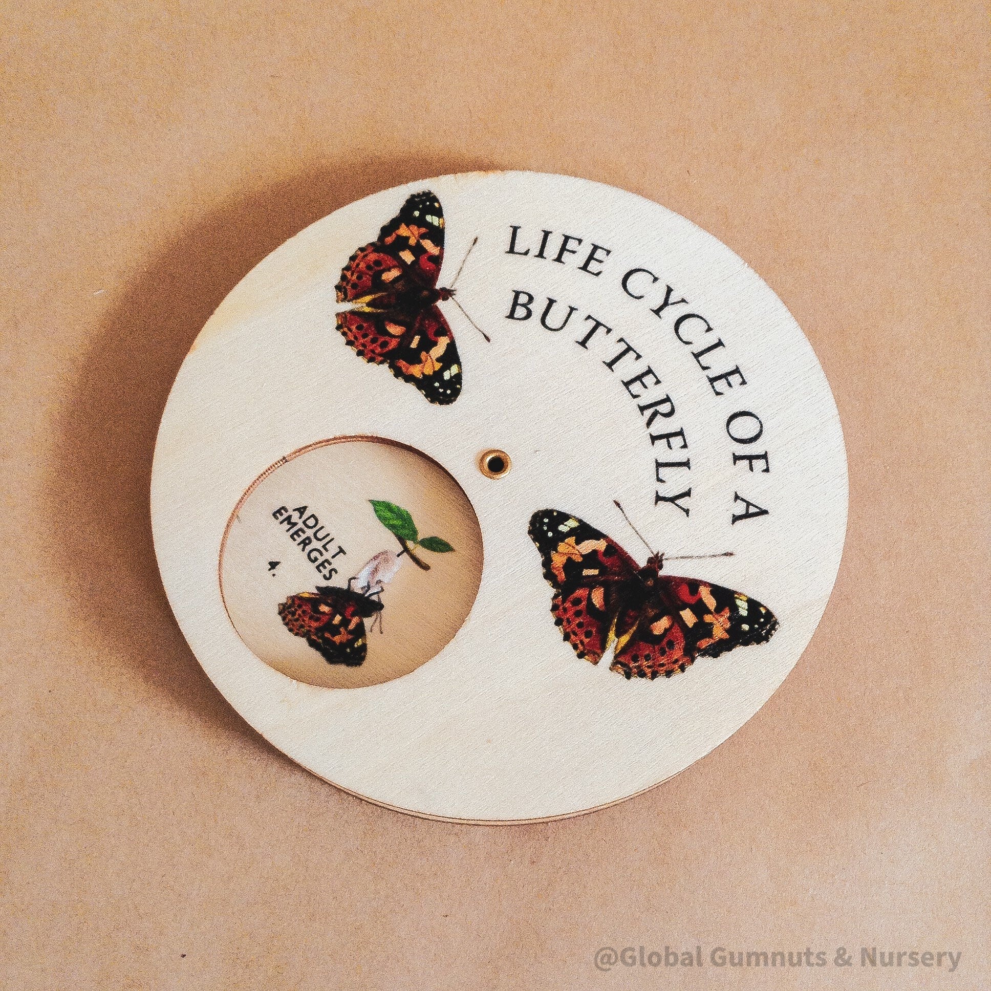 Butterfly Life Cycle Wheel: Montessori-style wooden spinner dial depicting the butterfly life cycle, perfect for educational play.