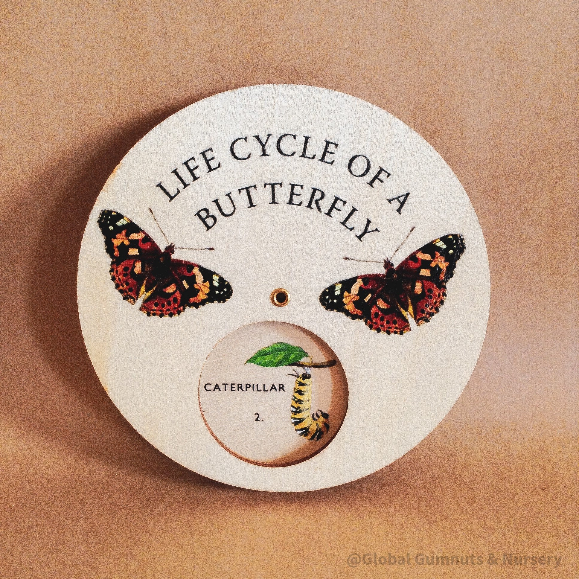 Butterfly Life Cycle Wheel: Montessori-style wooden spinner dial depicting the butterfly life cycle, perfect for educational play.