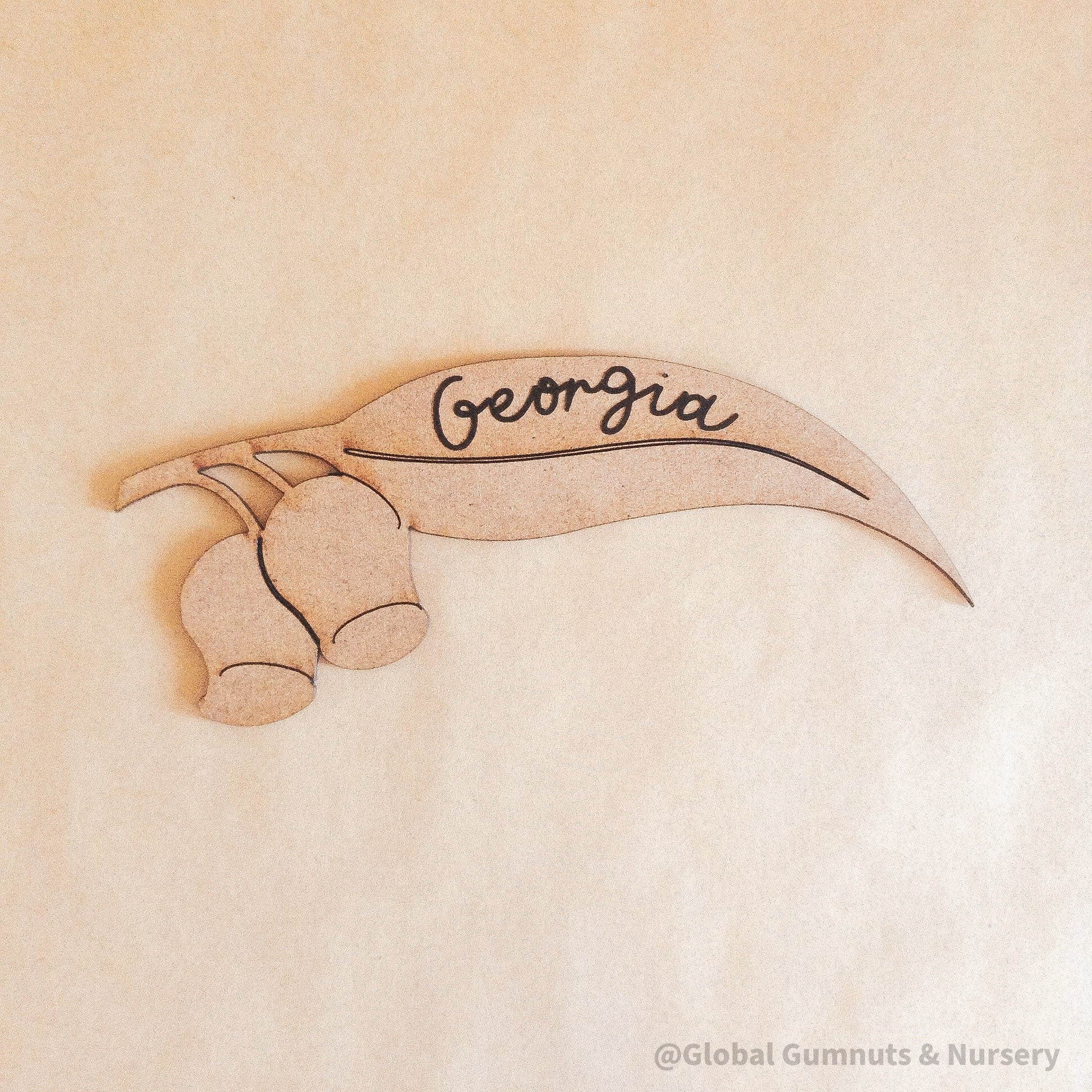 Gumleaf Laser Cut Embellishments: Personalized name tags for weddings or gifts.