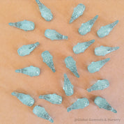 resin whale shark: miniature resin whale shark for marine-themed crafts and small-world play.