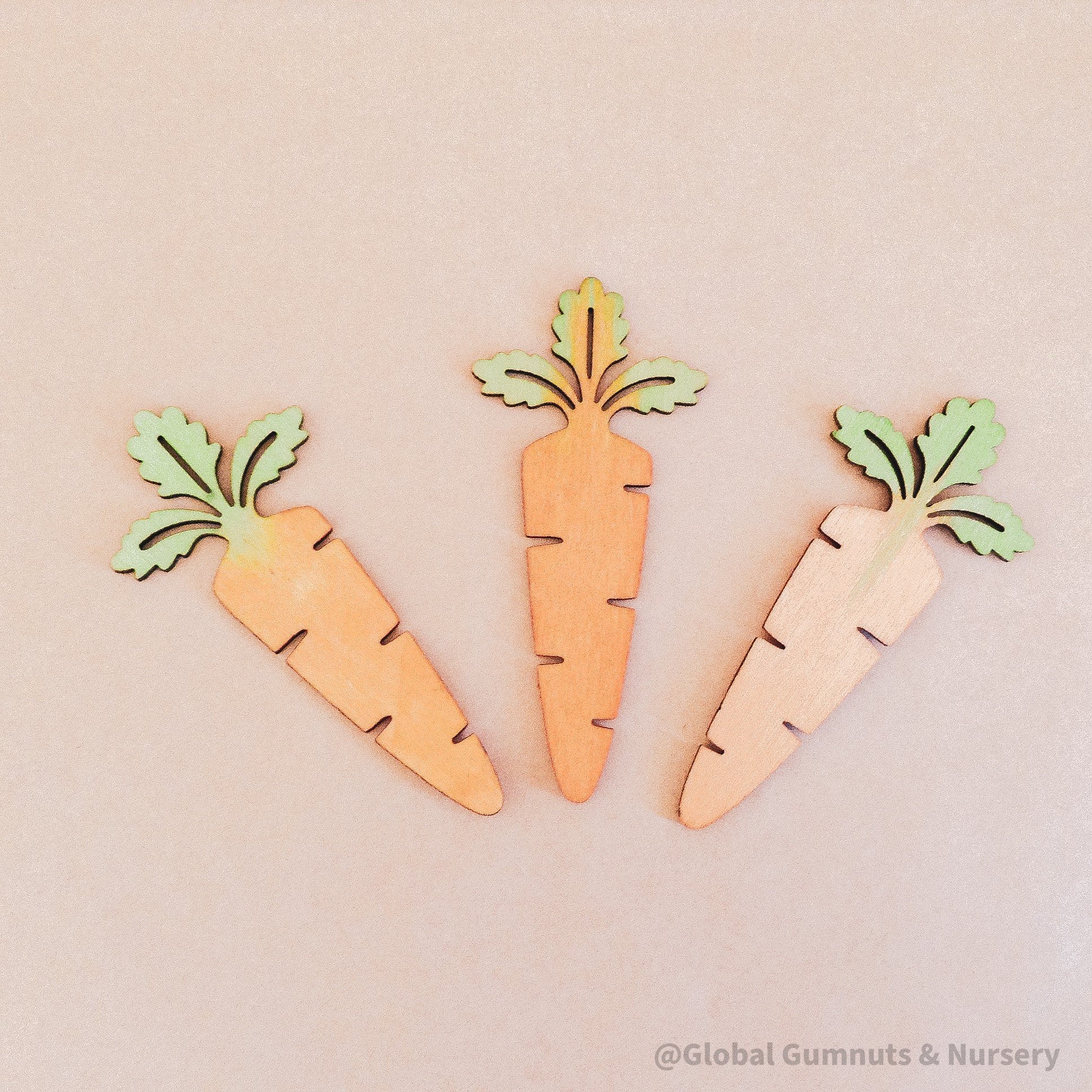 Wooden Carrots: Eco-friendly, water-coloured wooden carrots.