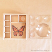 Bug box nature collection organizer with a kids' magnifying glass. Perfect for little explorers to collect and study insects.