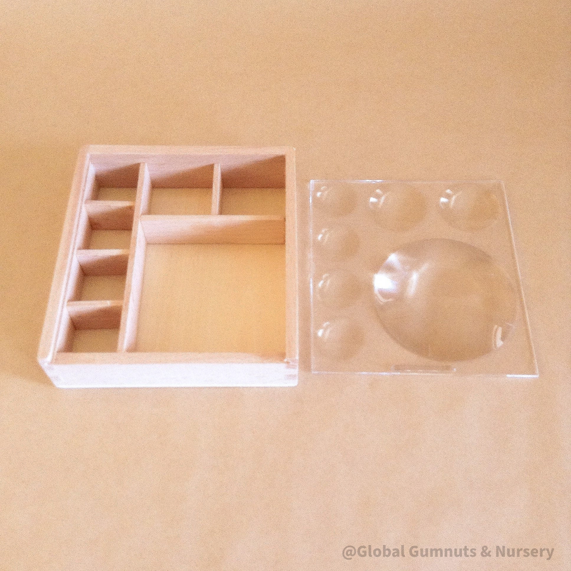 Bug box nature collection organizer with a kids' magnifying glass. Perfect for little explorers to collect and study insects.