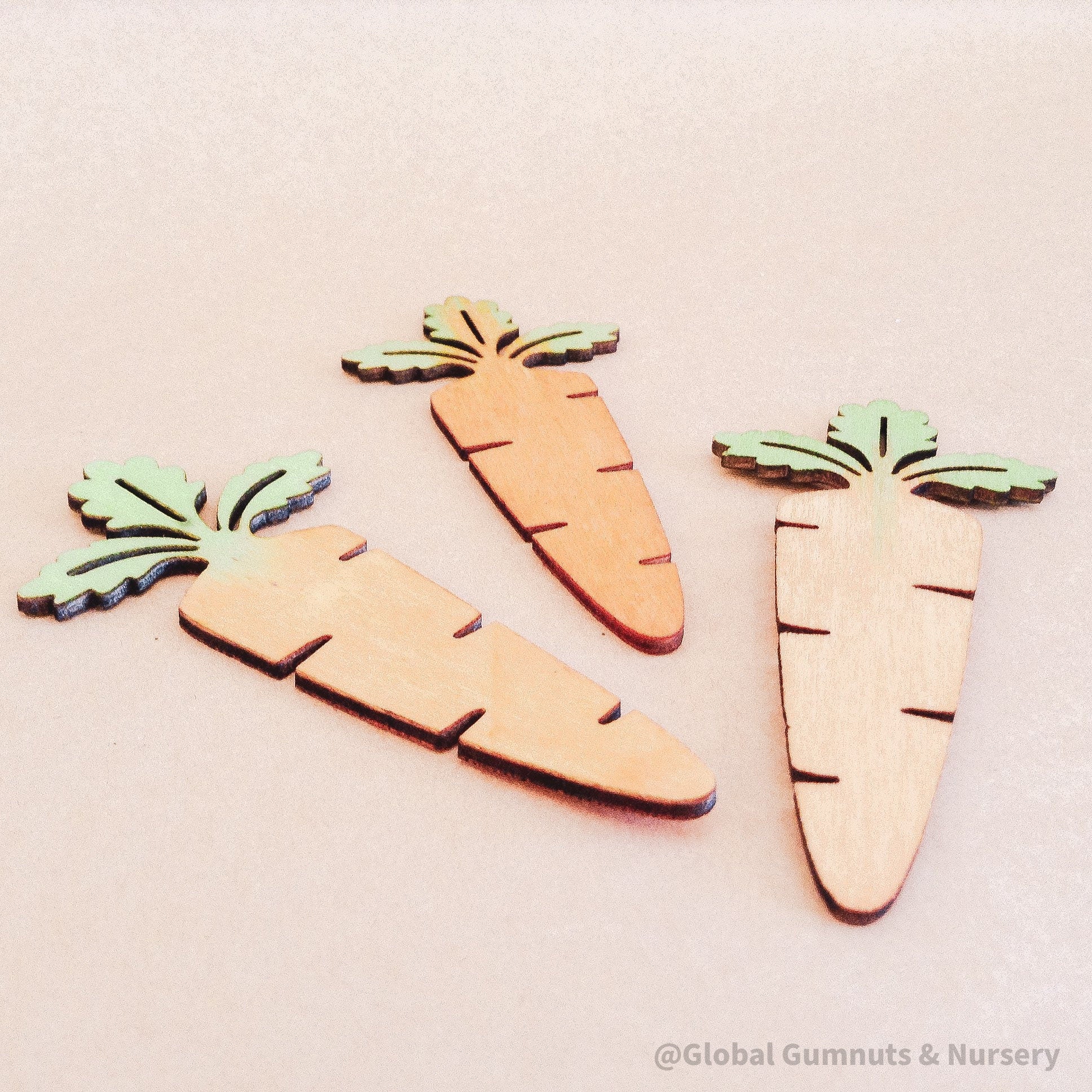 Wooden Carrots: Eco-friendly, water-coloured wooden carrots.